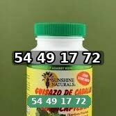 Chanca Piedra con Guisazo de Caballo, Hierba Tradicional Rompe Piedras, Suplemento de Apoyo para el Riñón y el Tracto - 2/3