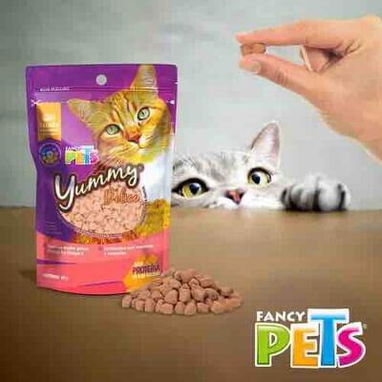 Galletas Premio para Gatos - Img 118224583