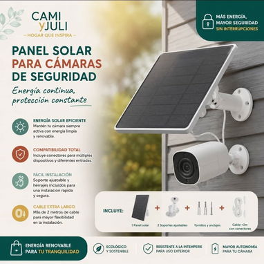 Cámaras vigilancia - 2/2
