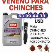 Veneno para chinches 5 lb con dispensador - Img 57253977