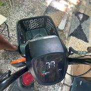 Se vende bisimoto - Img 56053618