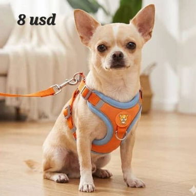 ✅️🐾ARREOS Y CINTAS PARA MASCOTAS✅️🐾📲53902244 - Img 125988231