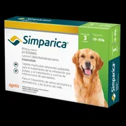 Simparica! - Img 55674439