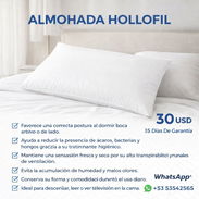 Almohada Hollofil 65 x 50 - Img 56038875