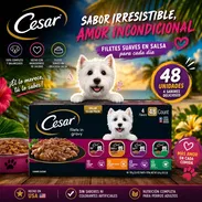 Comida para mascotas - Img 57959551