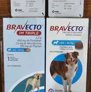 Bravecto - Img 50263673