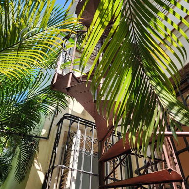 Ref # 68.Espectacular palacete en calle Paseo en ofertaaa!!! Oportunidad única de inversión!!! - 9/10