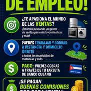 Interesados escriban al WhatsApp 51293005 - Img 55870165
