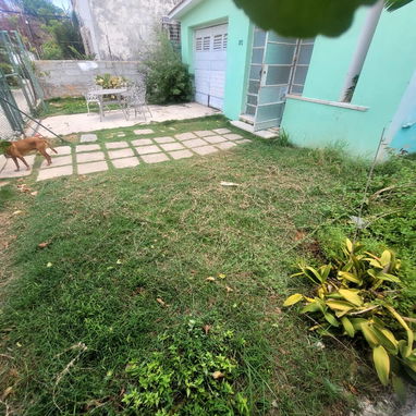 Servicio de jardinería 👩🏼🌾 - Img 127441454
