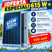 Paneles Solares 615W Rebajados de precio en Molina Motor - Img 57670189