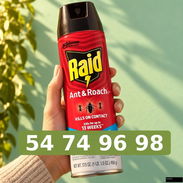 Raid spray para hormigas y cucarachas 17.5 oz - Img 57375069