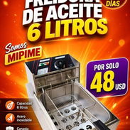 Freidora de aceite 6 litros - Img 57135156