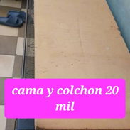 Camera - Img 54761443