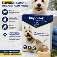 JABON ANTIPULGAS BAYER - Img 40721406