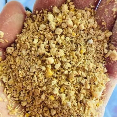Vendo piensos para puercos y gallinas ponedoras 56 70 29 86 - Img 123022859