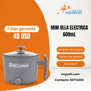 MINI OLLA ELECTRICA 600mL - Img 57055525