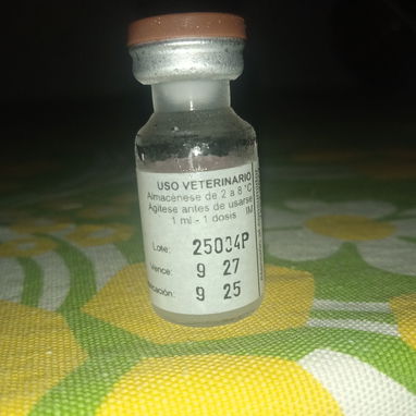 Vacuna contra el Parvovirus Canino - 2/2