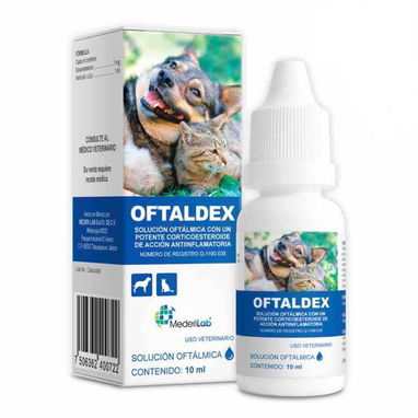 Dexametasona Neomicina Diclofenaco Gentamicina para perros y gatos - Img 114638890