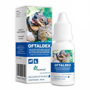 Dexametasona para perros y gatos - Img 53918755