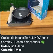 Cocinas infrarrojas y cocinas de inducción y sus calderos - Img 51432063