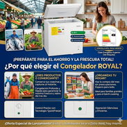 ❄️ CONGELADOR ROYAL NUEVO EN CAJA! MÁXIMO AHORRO Y CALIDAD ❄️ - Img 55843167