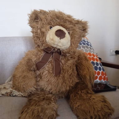 Muñecos oso de peluche - Img 118884701