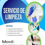 Hola! 👋 Ofrecemos un Servicio de Limpieza profesional para el hogar. 🏠✨ - Img 57441636