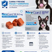 Nexgard para perros 4-10kg - Img 55230513