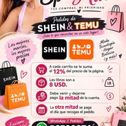 Pedidos de shein y temu - Img 57381879