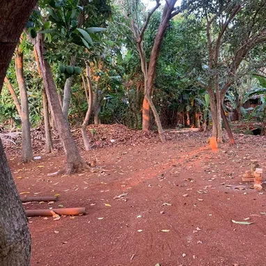 Finca en Santa Fe - Img 123420245