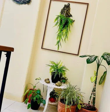 Apartamento de lujo para estudiantes. Cerca del Almejeiras - Img 94604596