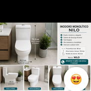 Tasa de baño monolitica marca nilo - Img 55593517