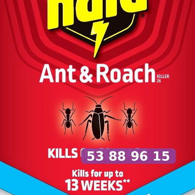 Raid spray para hormigas y cucarachas 17.5 oz - 3/3