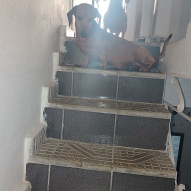 Vendo apaurtamento biplanta en 10000 USD, con $ en mano me ajusto, en 10 de octubre, de 2 cuartos. Baño y cocina, acabad - 9/10