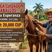 Cuidador de caballos - Img 54618304