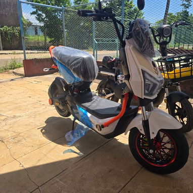 BICIMOTO MAF ENGLE - 2/4
