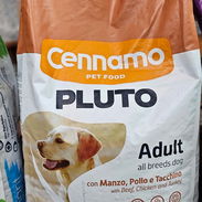 Pienso para perros adultos - Img 50881081