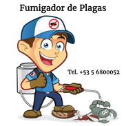 Fumifast, fumigador y exterminador de plagas, insectos, roedores, cucarachas y más (LaKincalla) - Img 45299256