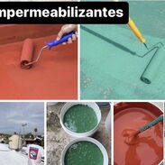 Varios tipos de pinturas para embellecer su hogar 🏡 - Img 45499860