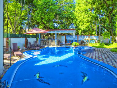 Alquiler[Villa]+piscina+7cuartos+Miramar+[Puro Lujo]+ Miramar+Jacuzzi - Img 28191556
