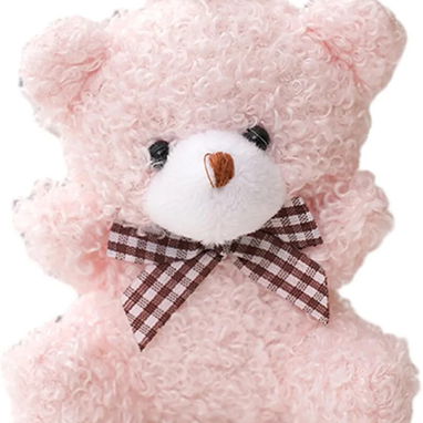 Peluches para Mascotas - 10/10