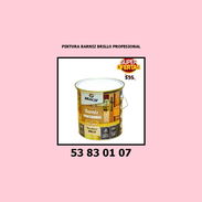 ✅ ✅ ✅ PINTURA BARNIZ BRILLO PROFESIONAL✅ ✅ ✅ . - Img 54965269
