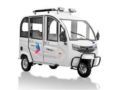 Triciclo RALI pick up - Img main-image-45821283