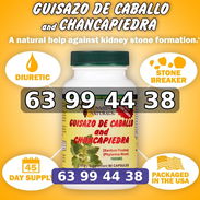 Chanca Piedra con Guisazo de Caballo, Hierba Tradicional Rompe Piedras, Suplemento de Apoyo para el Riñón y el Tracto - Img 57193979