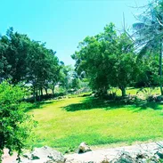 Hermosa finca de más de 1 hectárea con Bungalow cerca de Varadero, 3 cuartos, 4 baños, ranchón y jacuzzi exterior. - Img 58250902