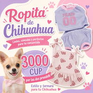 Accesorios para Perritos - Img 56108974