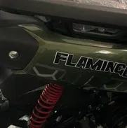 Moto flamingo 200 cc nuevas - Img 49471145