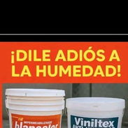 Pintura 54703213 - Img 56943246
