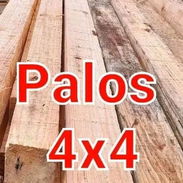 Palos 4x4 - Img 55875936