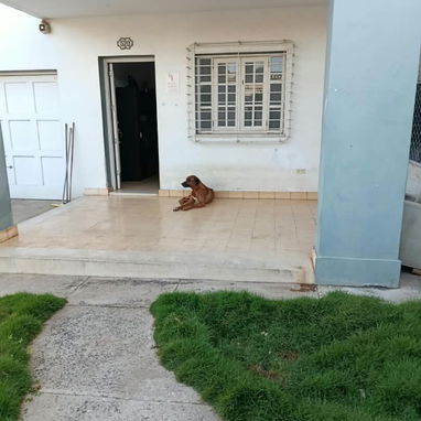 Casa en el monaco - 9/10